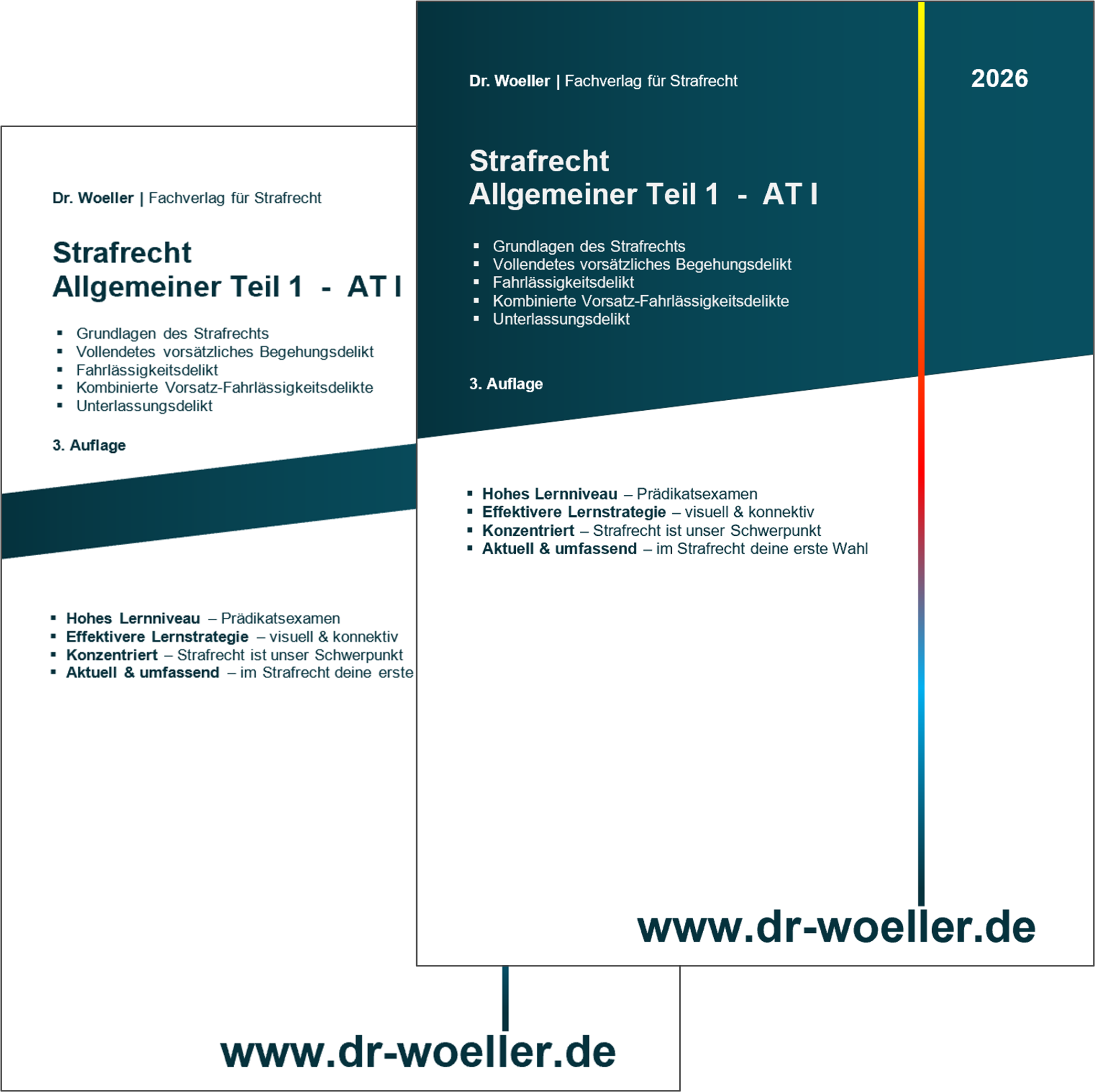 Paket - Skript & MindBook - Strafrecht - Allgemeiner Teil 1 (501 S.) <br> (AT I)
