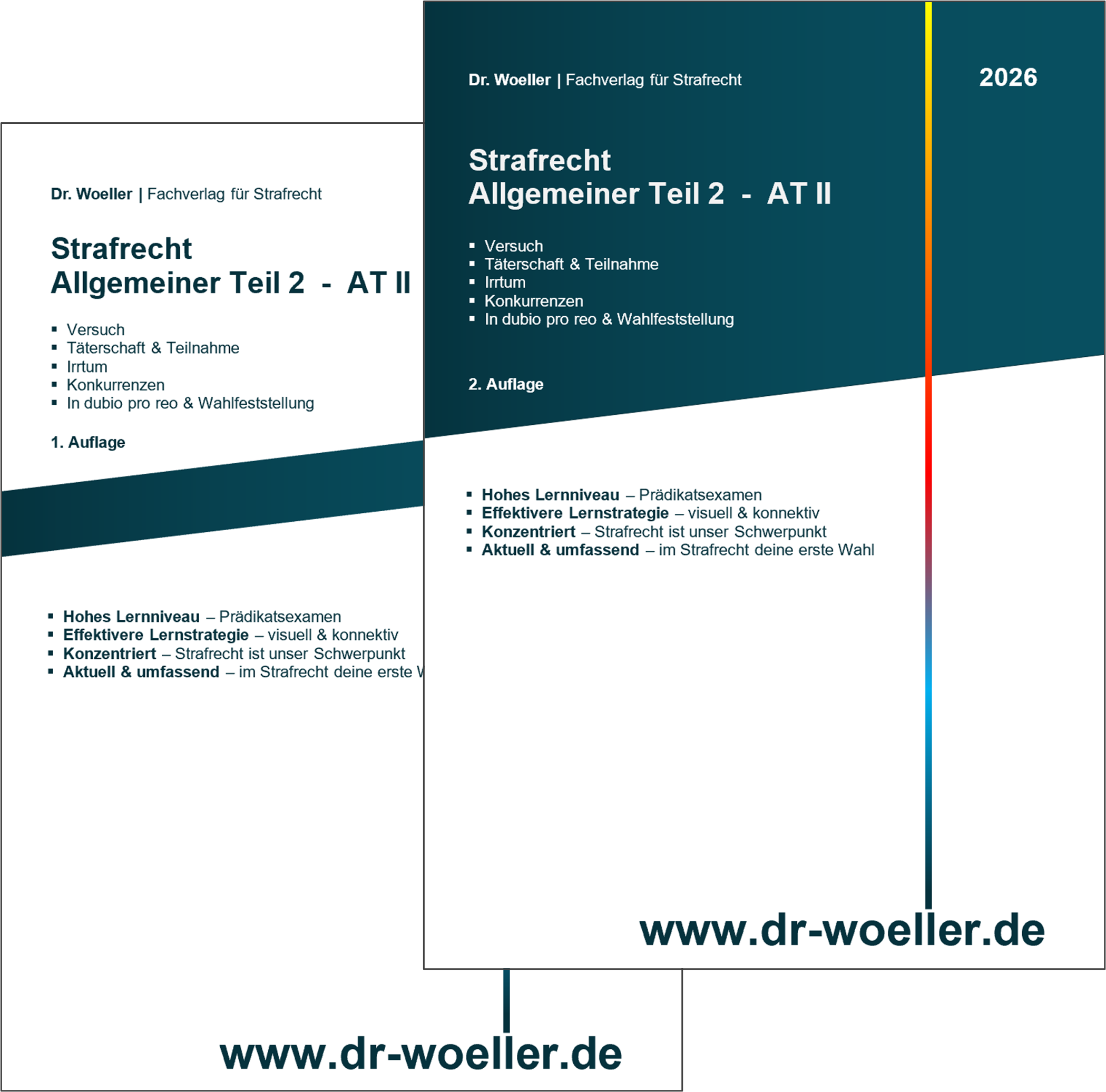 Paket - Skript & MindBook - Strafrecht - Allgemeiner Teil 2 (502 S.) <br> (AT II)